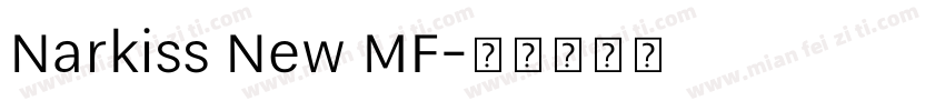 Narkiss New MF字体转换